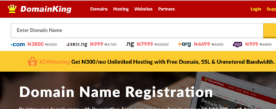 domain king best web hosting companies in nigeria