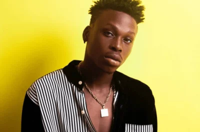 Fireboy DML Biography, Networth & Contact Details (2024) - TheNigerianInfo